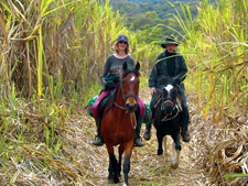 Ecuador-Highlands-Cloud Forest to Highland Ride